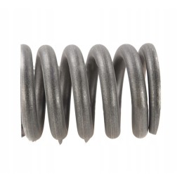 Clutch spring fi 12mm bison spreader 504