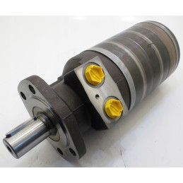 Hydraulic motor wtg0960mw450aaab