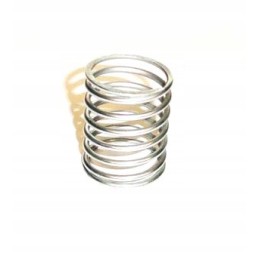 C 385 spring C 385 Polish