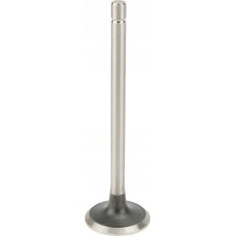 New Holland exhaust valve