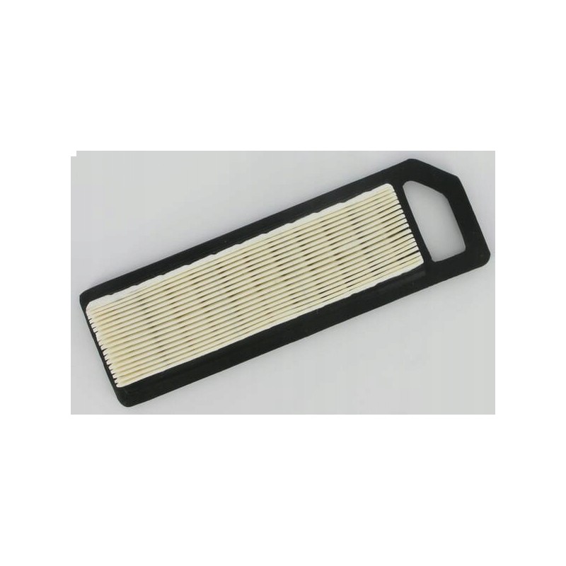 Air filter element 110290018