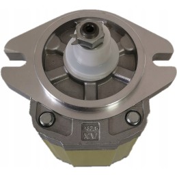 Replacement pump Bosch 0510625355 New Holland TC56