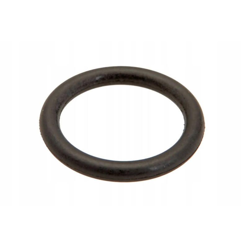 100101869 O-ring 16x2 5 mm
