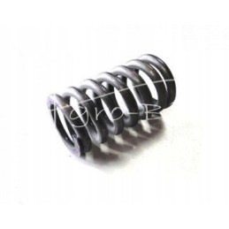 Bison clutch spring 504025031