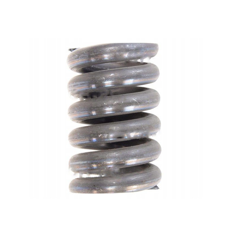 Compression spring, thickness 8 mm, bizon 505255006