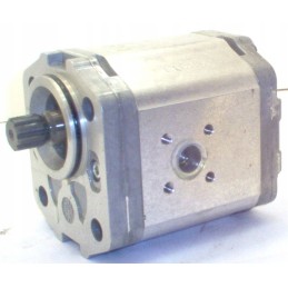 Snp2 c17l sc03 hydraulic gear pump