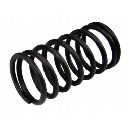 Outer valve spring 950508 zetor for sale
