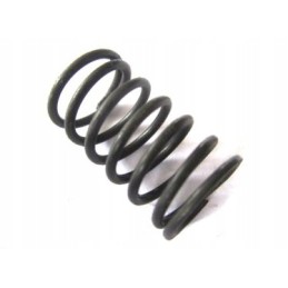 Distributor spring c 360