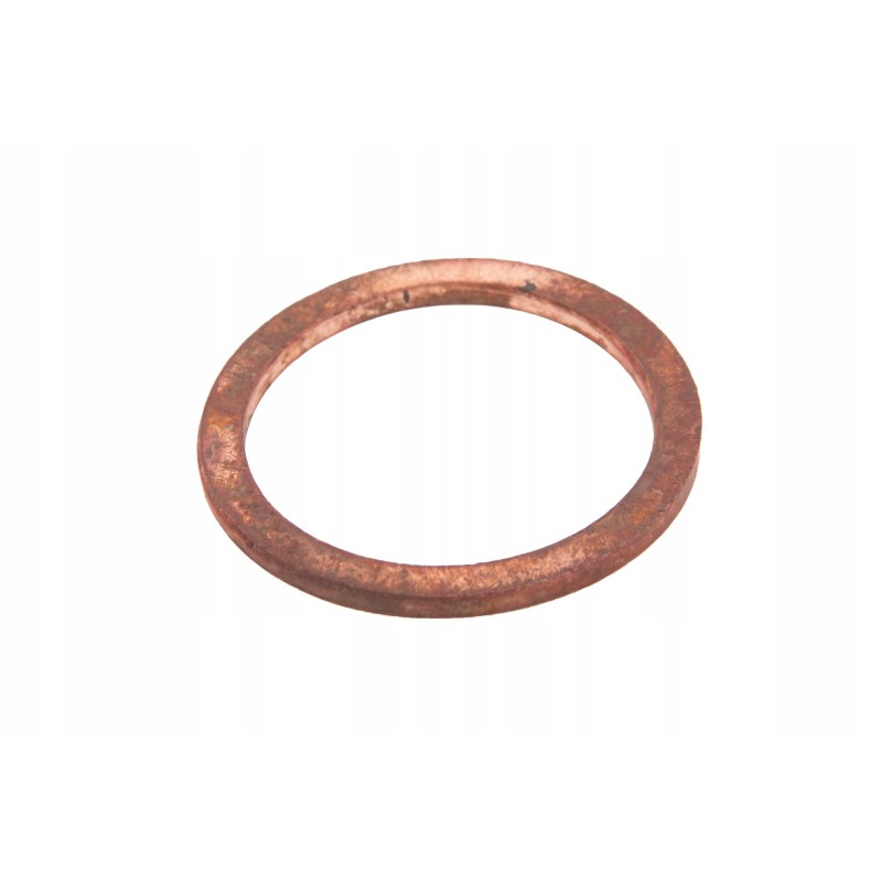 100034808 drum speed control valve washer