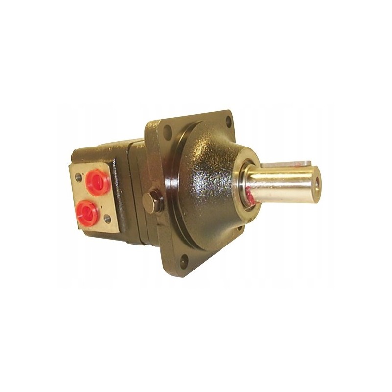 Hydraulic motor wmsw100p