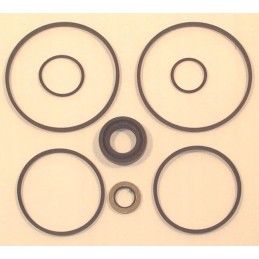 Group 2 steering pump seal kit