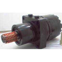 Hydraulic motor wre321417