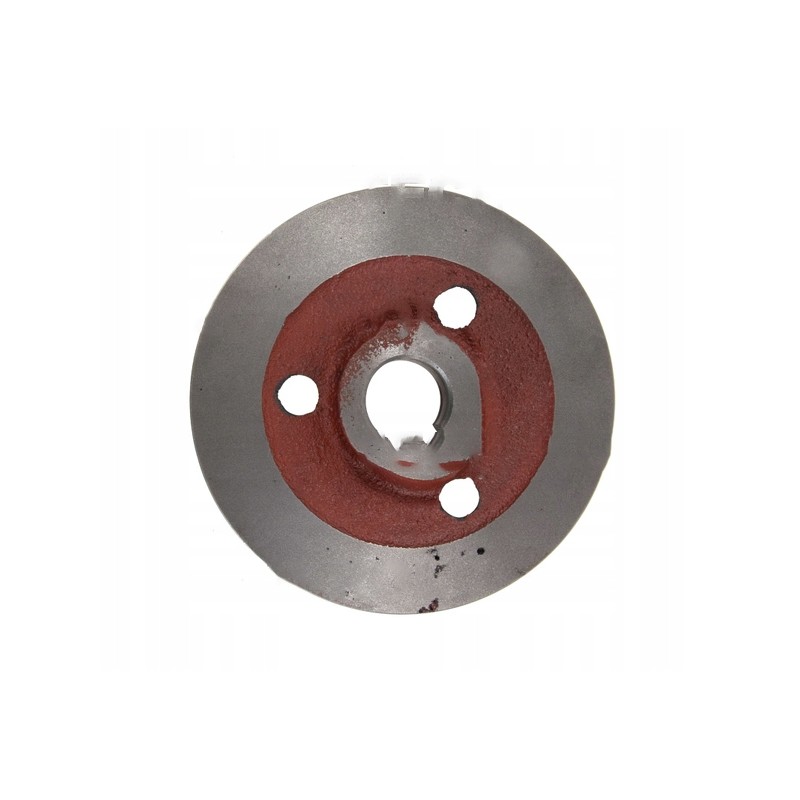Bizon auger pulley 5040180011 pro