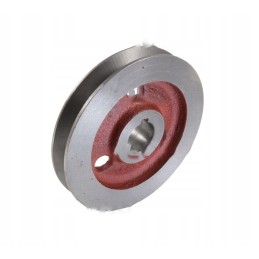 Bizon auger pulley 5040180011 pro