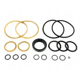 Set of gaskets for the mtz c100 actuator