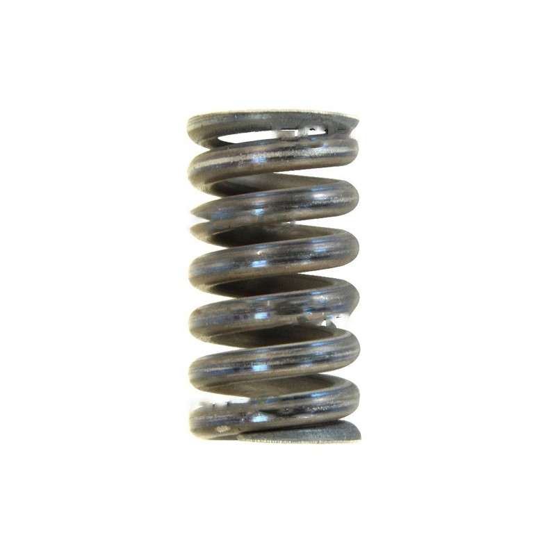 Clutch spring fi 6mm bison 5060050210 product
