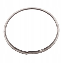 The scraper ring of the Bison belt assembly from 056