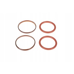 F931962020080 hydraulic seal set