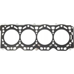 Head gasket 1g79003602