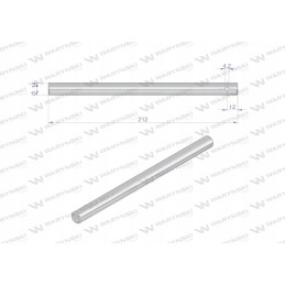 Warynski bison snail finger