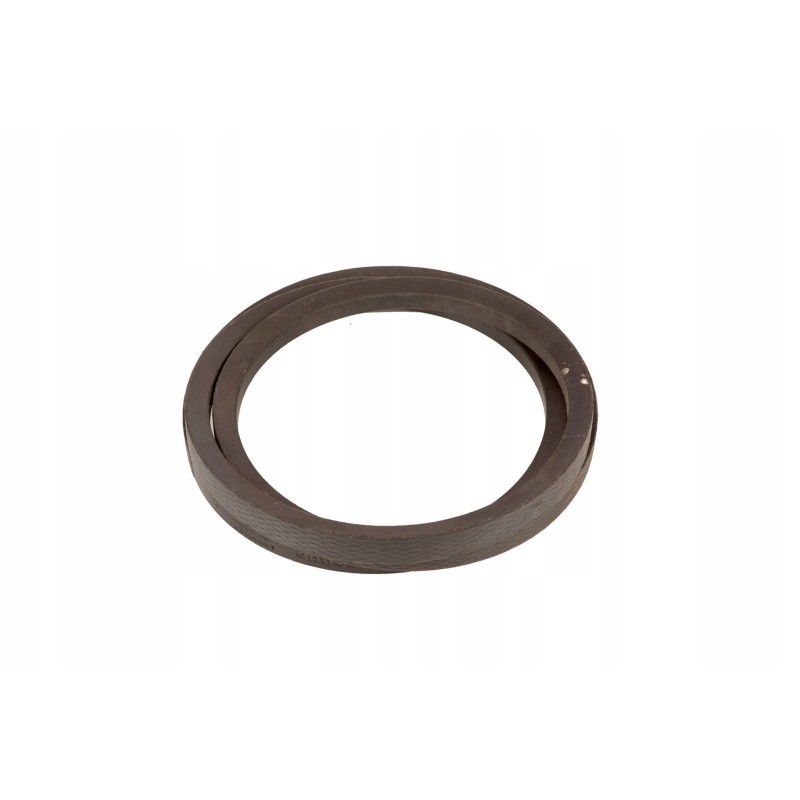 0438950 classic V-belt