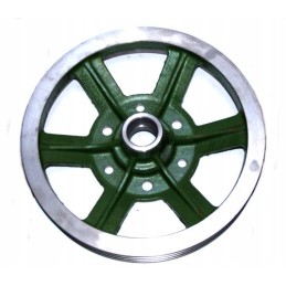 Bizon AB pulley 505805012
