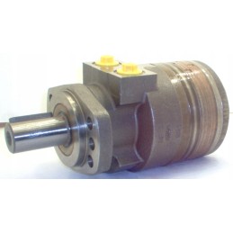 Hydraulic motor wtf0130ew460aaab
