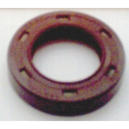 Hydraulic motor snp2a01v