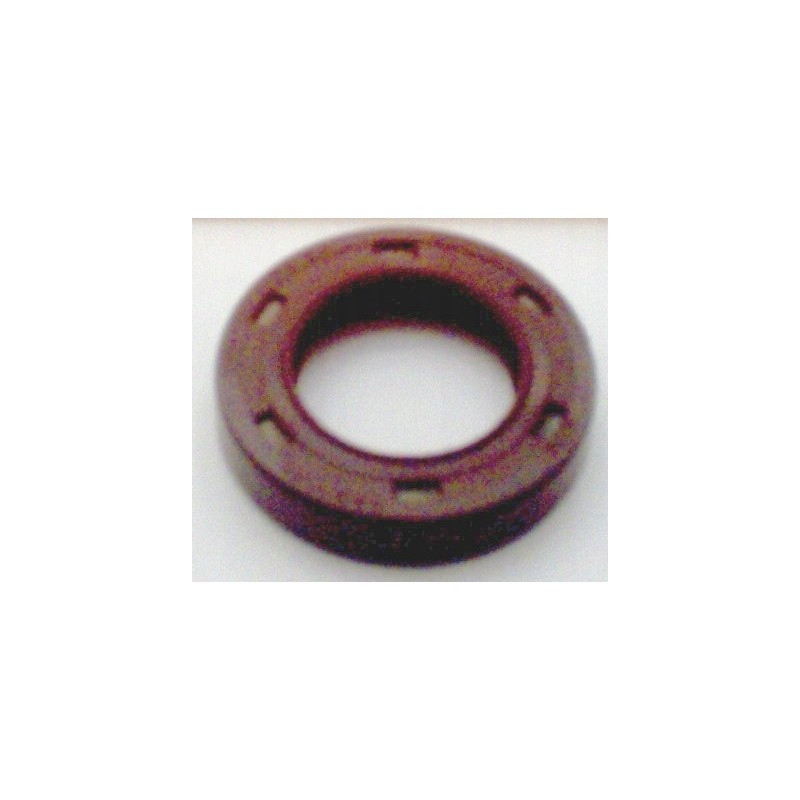 Hydraulic motor snp2a01v