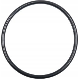 Pierscien 394868x1 kramp