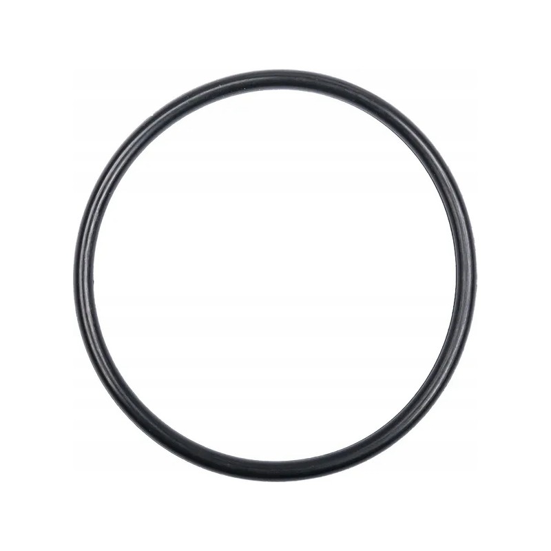 Pierscien 394868x1 kramp