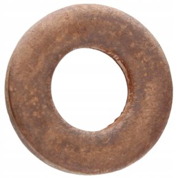 Sealing ring 38021319