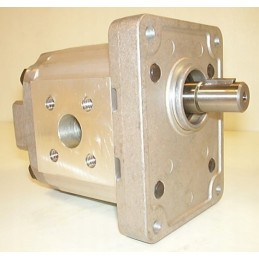 Hydraulic motor 1mr015rldfxn