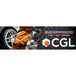 Deutz TCD injection pump gear pump