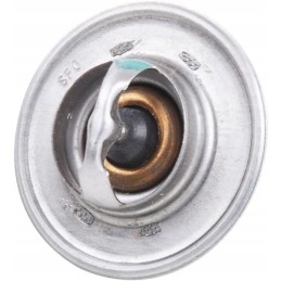 Thermostat 75c
