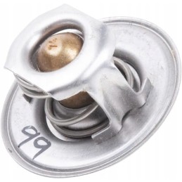 Thermostat 75c