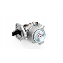 Diaphragm feed pump 04238003 04231021