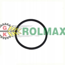 O ring 54 97x61 87 new holland case 402571r1