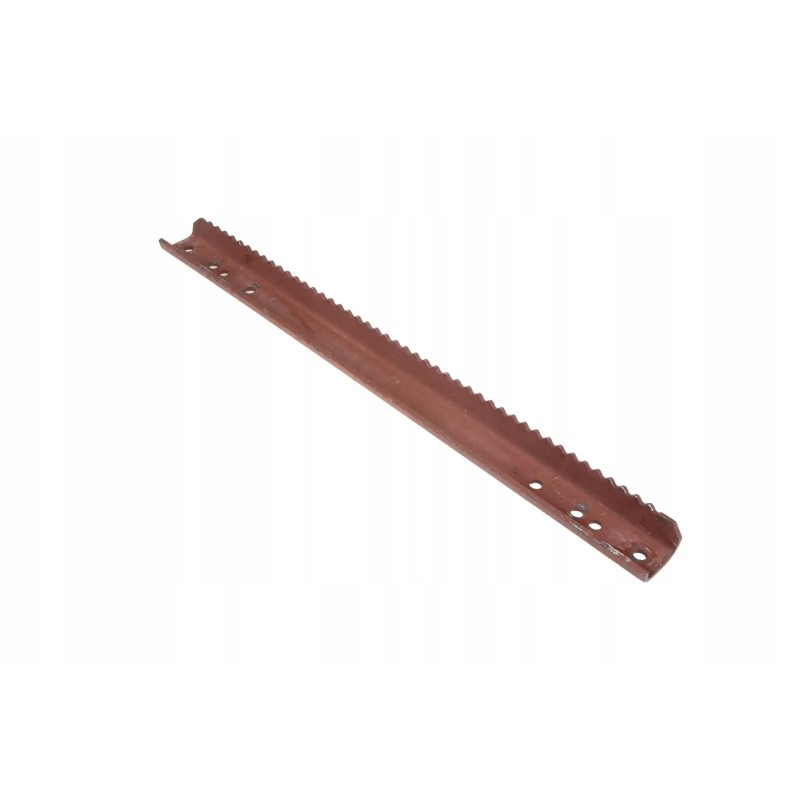 102645258 inclined conveyor strip