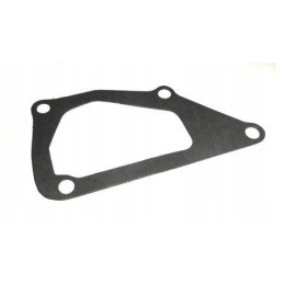 Bison water pump gasket