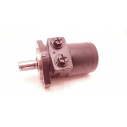 Hydraulic motor wte0130cw260laay