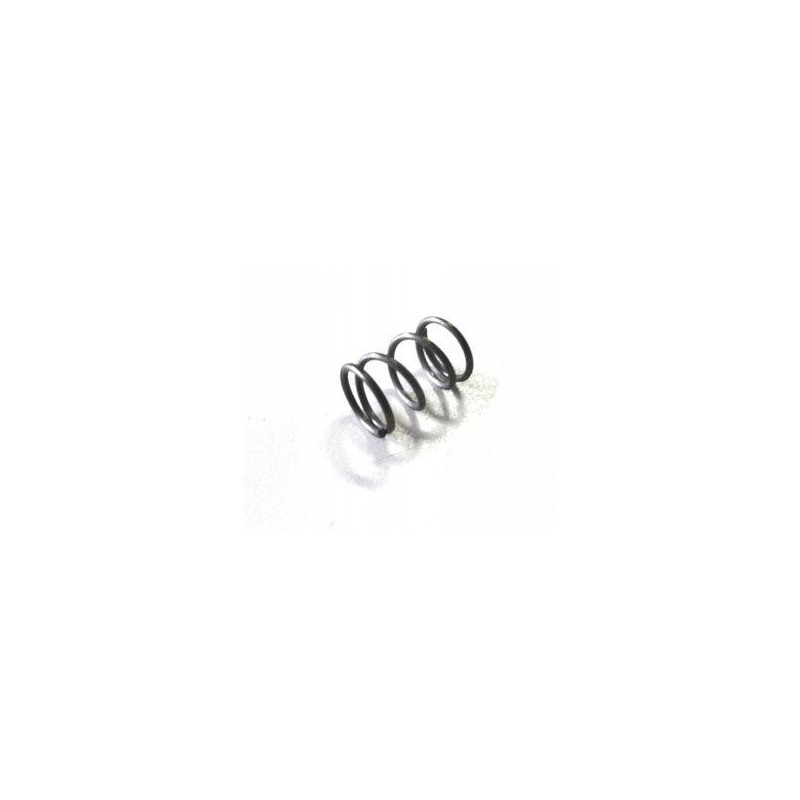 Bizon AB lock bearing spring 506002029