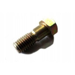 Bizon brake disc screw