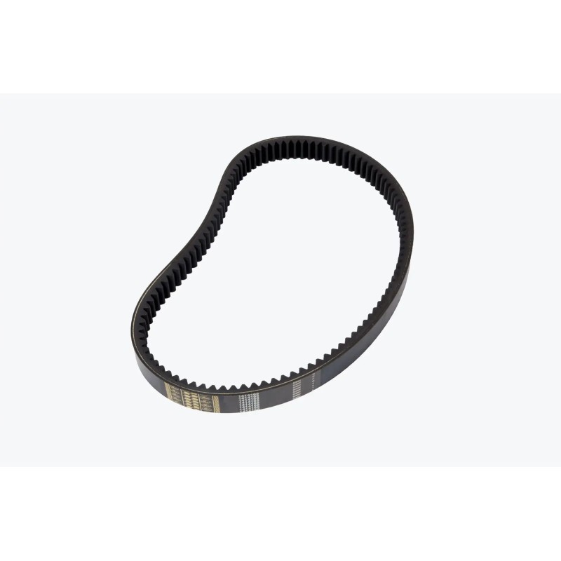 1414168 wide profile V-belt 56x26x1905