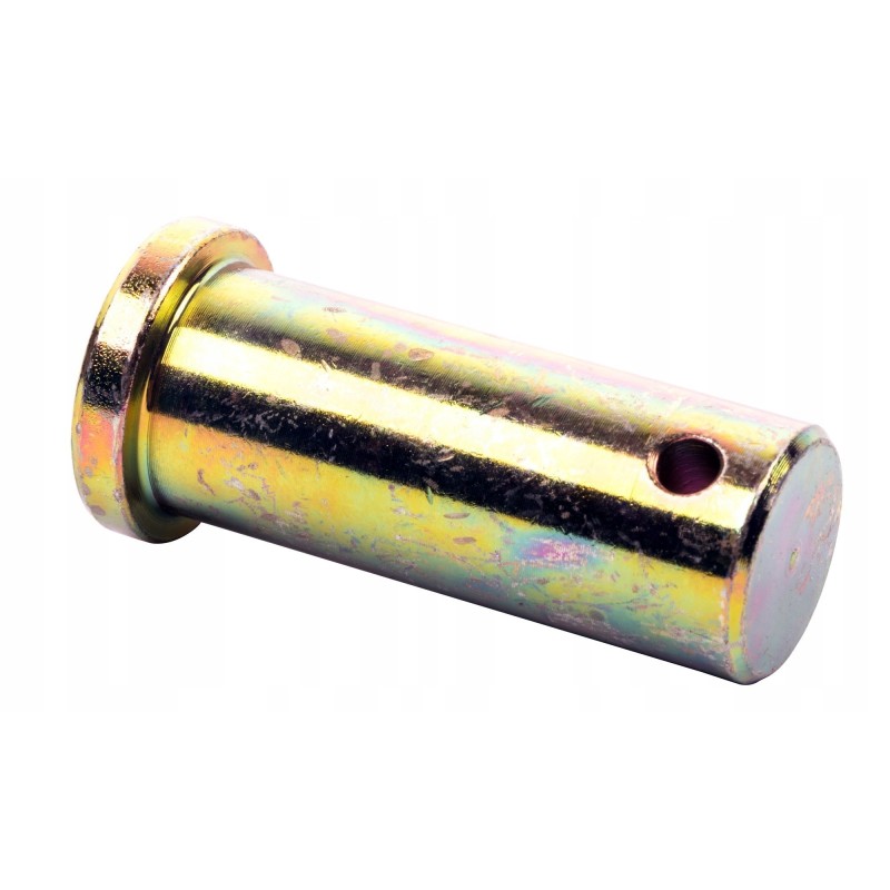 Travel cylinder pin II 22x55 47 bizon