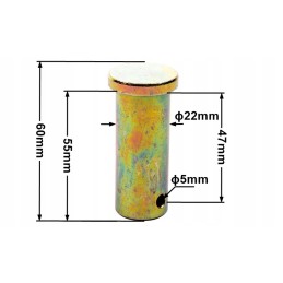 Travel cylinder pin II 22x55 47 bizon