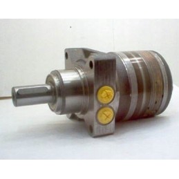 Hydraulic motor wtg0240hz460aawh