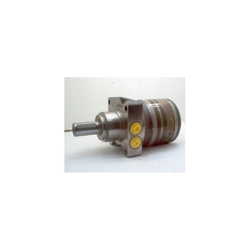 Hydraulic motor wtg0240hz460aawh