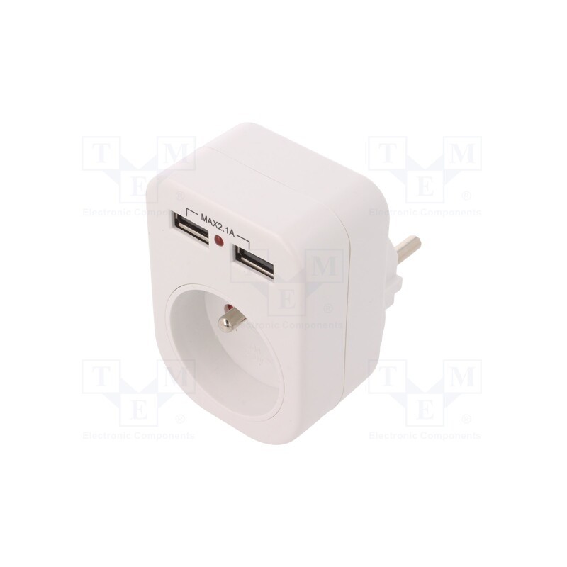 1 pcs x PLASTROL - W-01146 - Connector: AC supply, splitter, 2P+PE, 250VAC, 10A, white