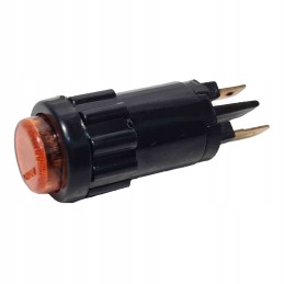 Orange dashboard indicator light